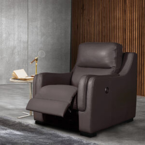 Hanna Leather Power Recliner